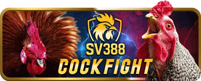 Khuyến mãi nạp lại hàng ngày tại w888 bet